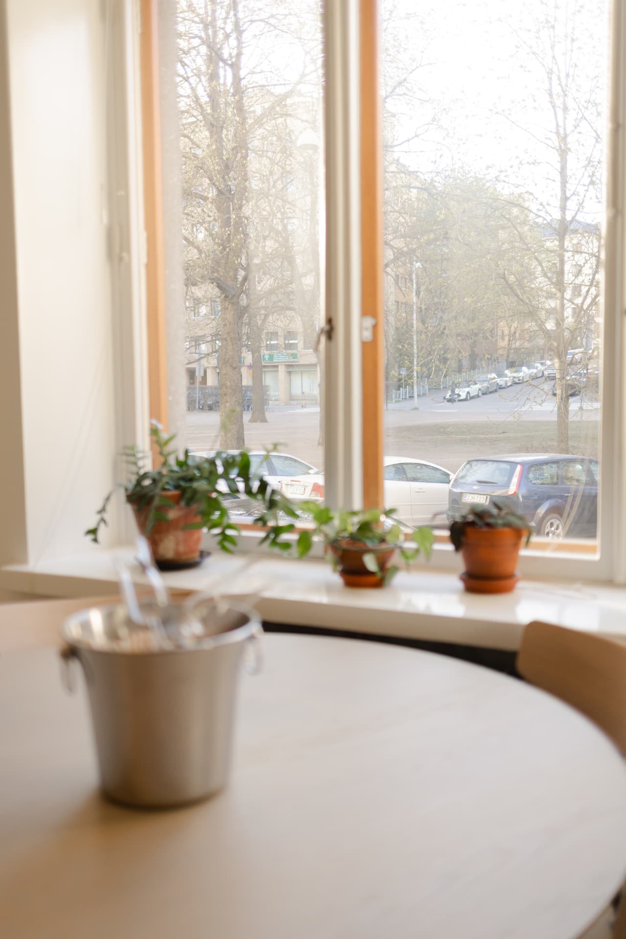 Potted plants on a sunlit windowsill above a round table