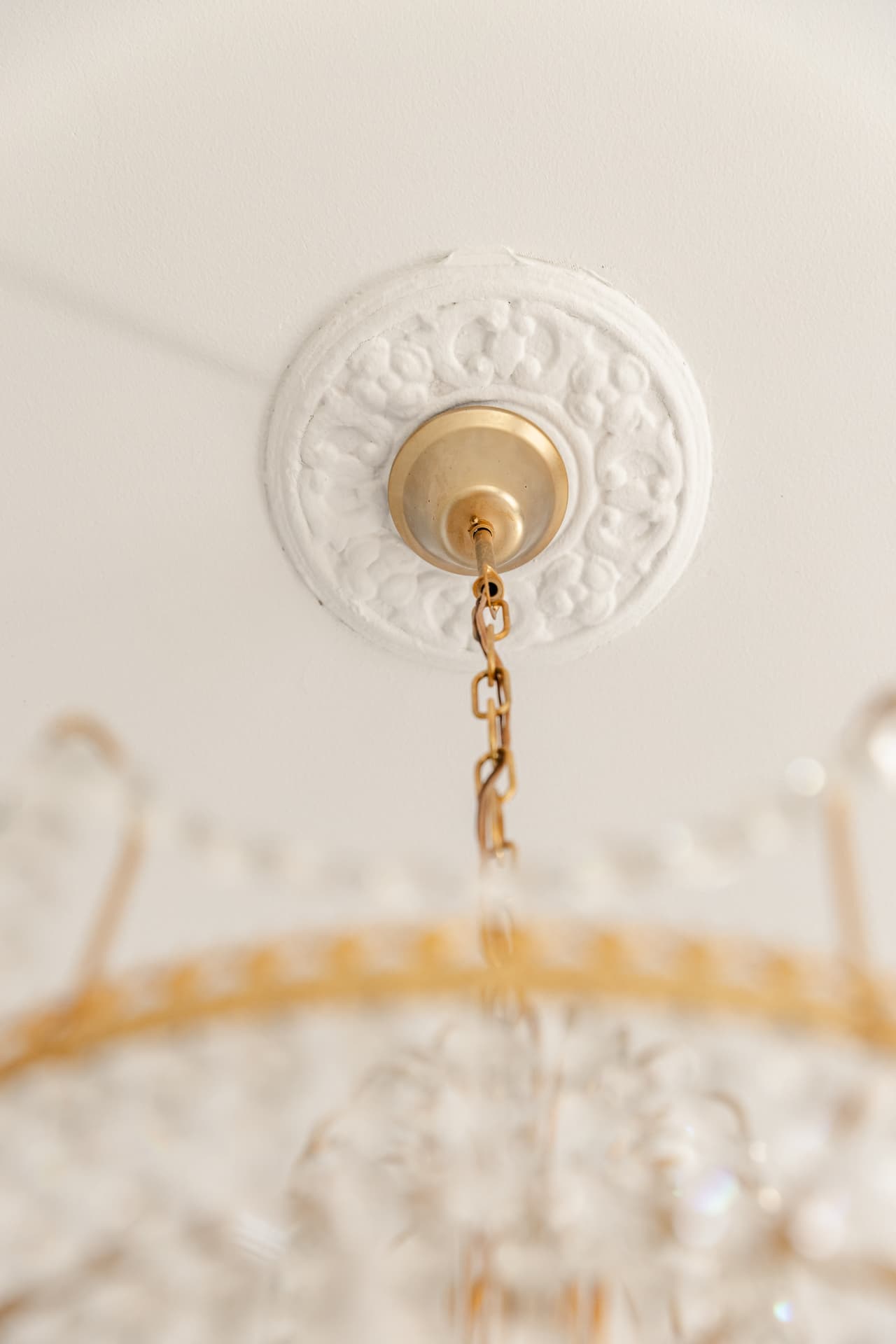 Original ceiling rose and brass chandelier detail